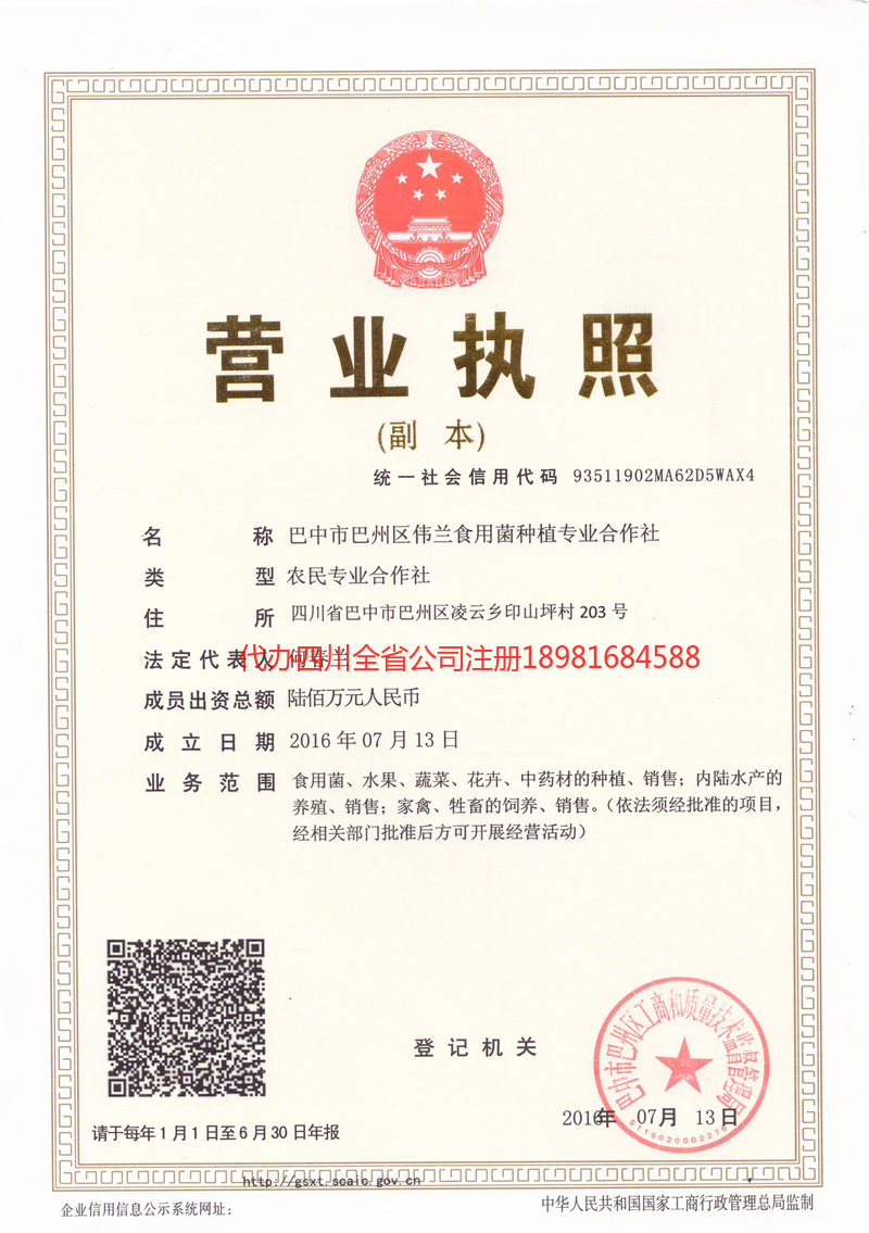 陇南陇南伟兰食用菌种植专业合作社